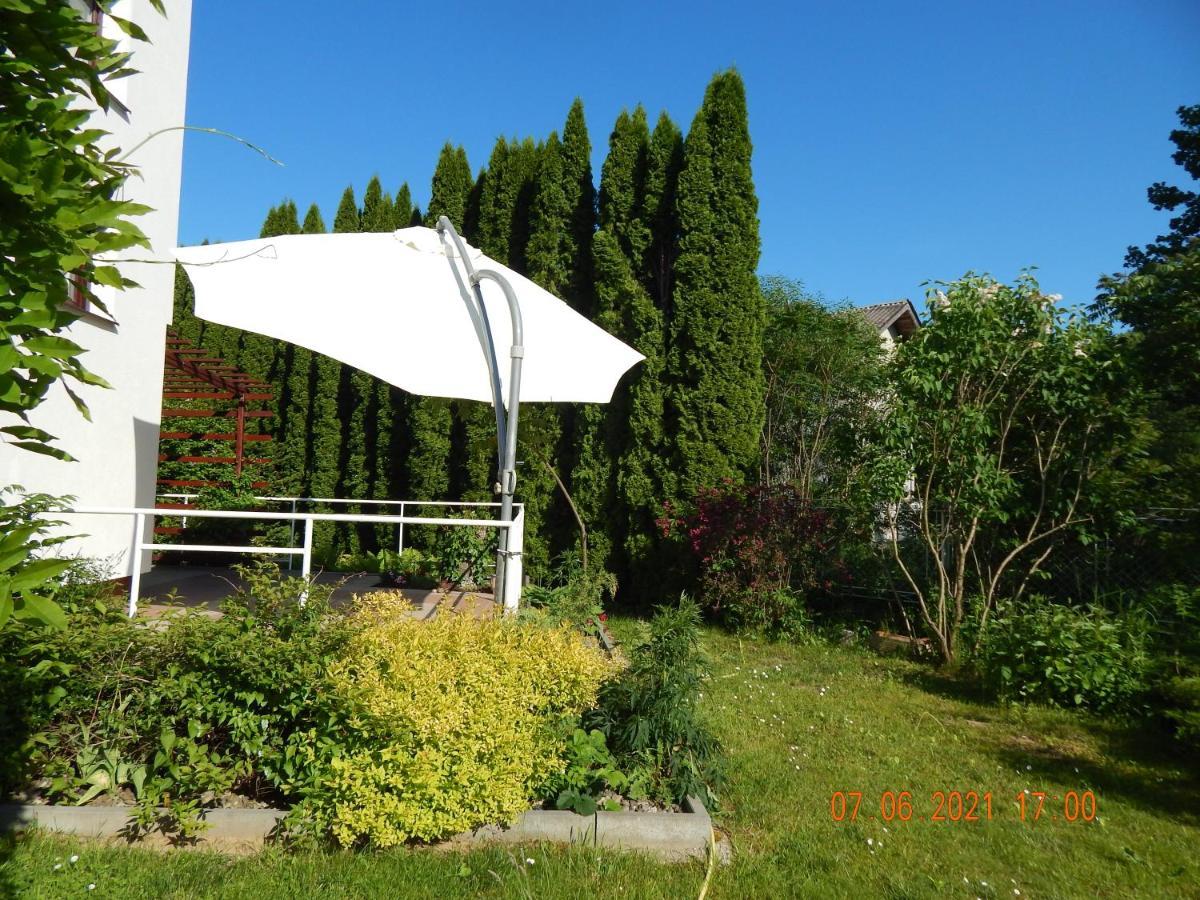 Вілла Едельвейс Morșîn Exterior foto